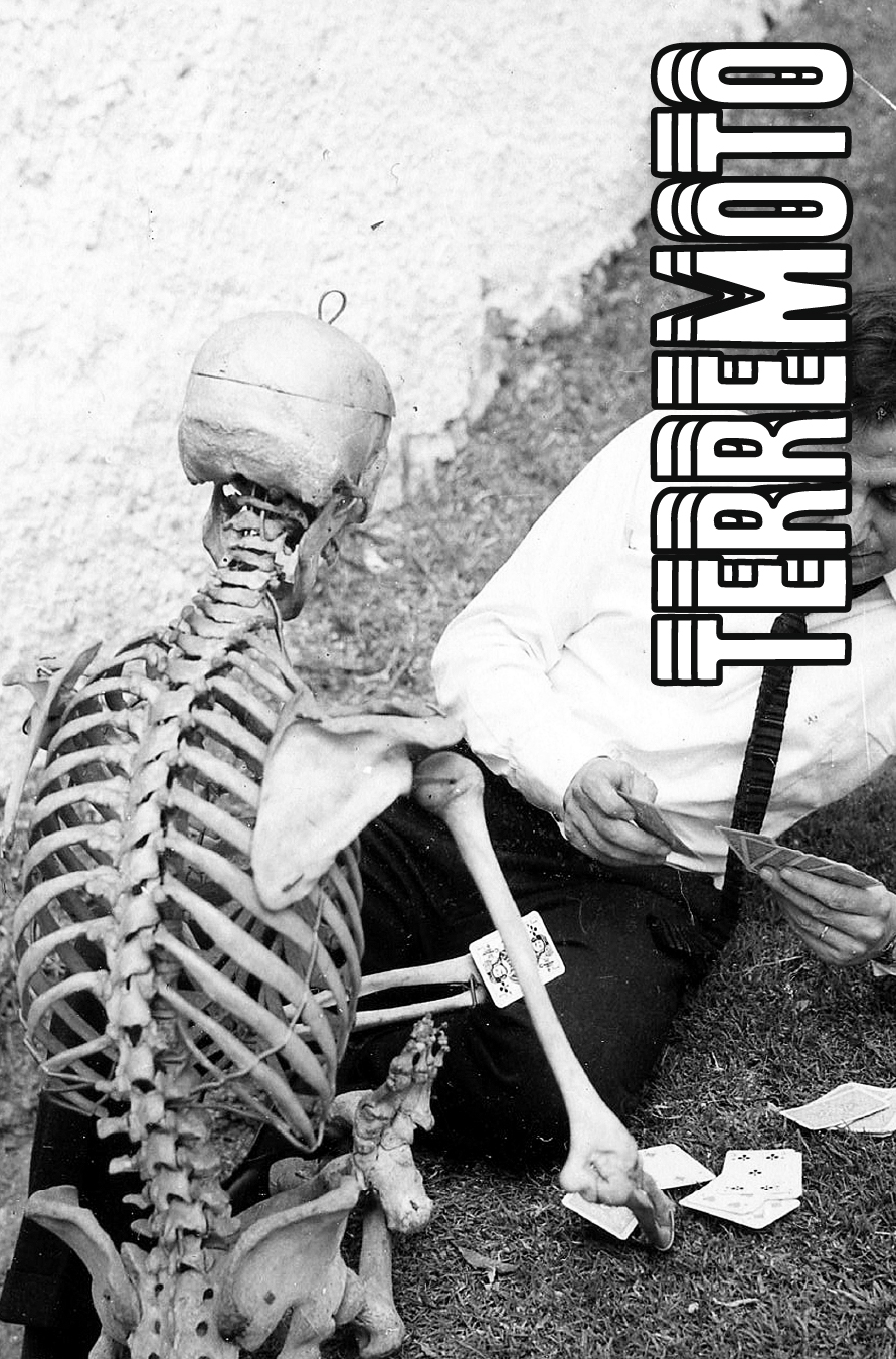 Imagen destacada de Investigadores salvajes